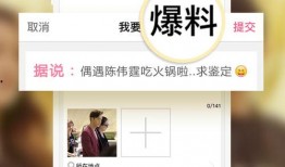 最新的娱乐资讯爆料网站,最新动态大揭秘，明星幕后故事全解析！